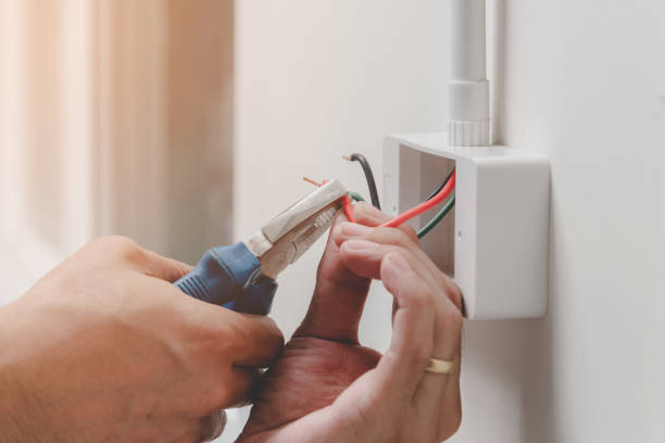 Best Electrical Remodeling Services  in Palmer, AK